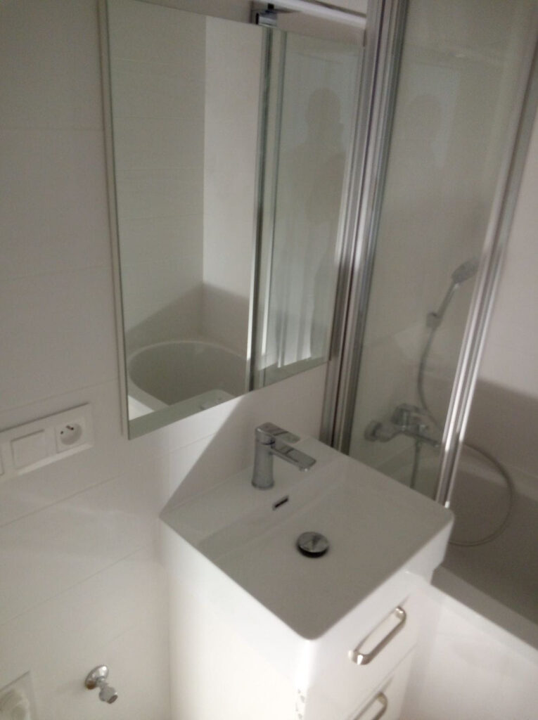 21 Rekonstrukce Panelakoveho Bytu 10